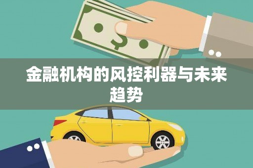 商城金融机构的风控利器与未来趋势