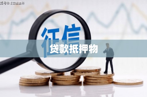 商城贷款抵押物