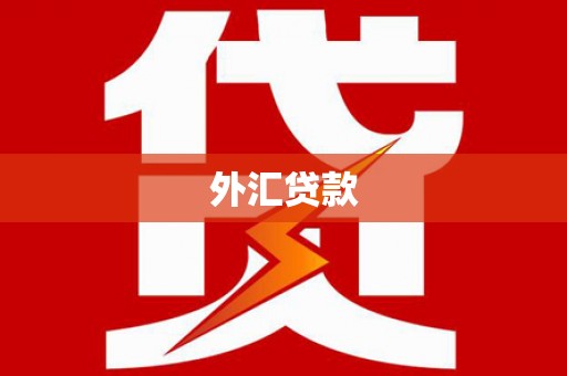 商城外汇贷款