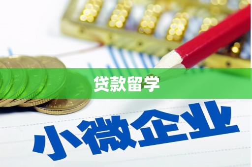 商城贷款留学