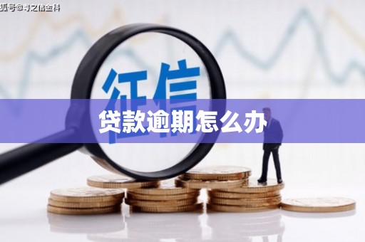 商城贷款逾期怎么办