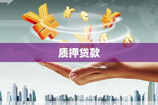 商城质押贷款