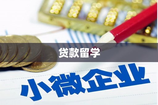 商城贷款留学