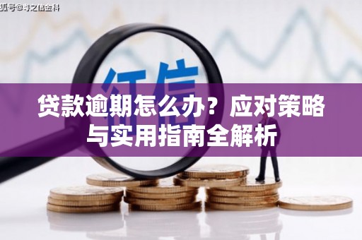 商城贷款逾期怎么办？应对策略与实用指南全解析