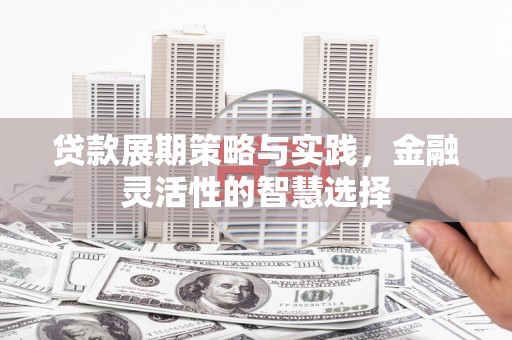 商城贷款展期策略与实践，金融灵活性的智慧选择