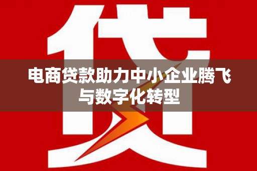 商城电商贷款助力中小企业腾飞与数字化转型