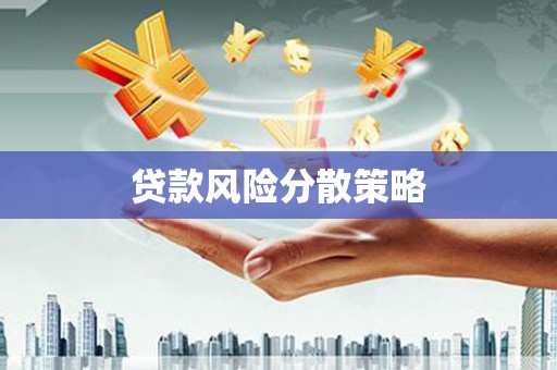 商城贷款风险分散策略