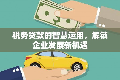 商城税务贷款的智慧运用，解锁企业发展新机遇