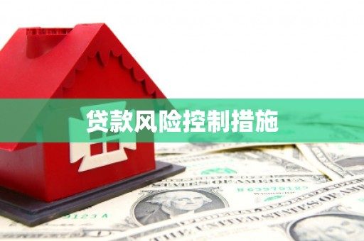 商城贷款风险控制措施